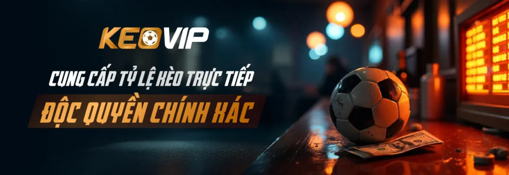 Cung cấp tỷ lệ kèo trực tiếp độc quyền chính xác