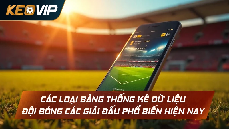 Các loại bảng thống kê dữ liệu đội bóng các giải đấu phổ biến hiện nay