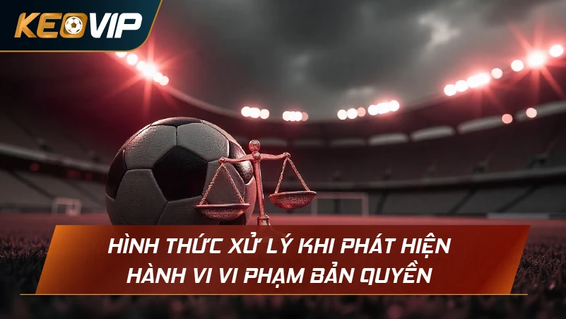 Hình thức xử lý khi phát hiện hành vi vi phạm quy định bản quyền