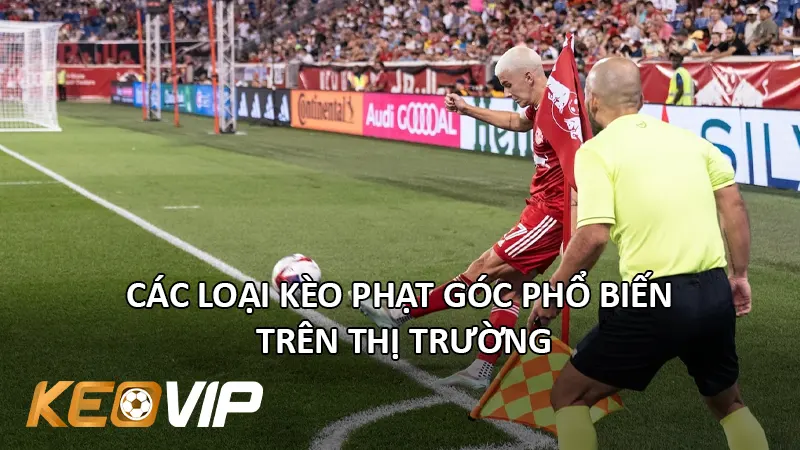 Các Loại Kèo Phổ Biến Trên Thị Trường