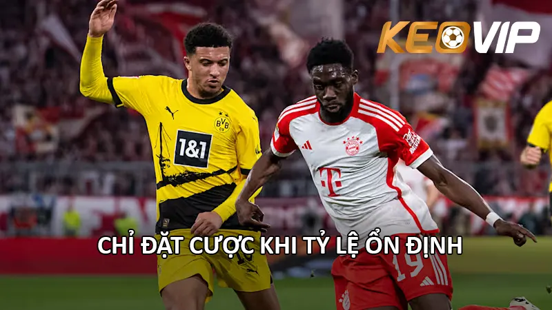 Chỉ Đặt Cược Khi Tỷ Lệ Ổn Định