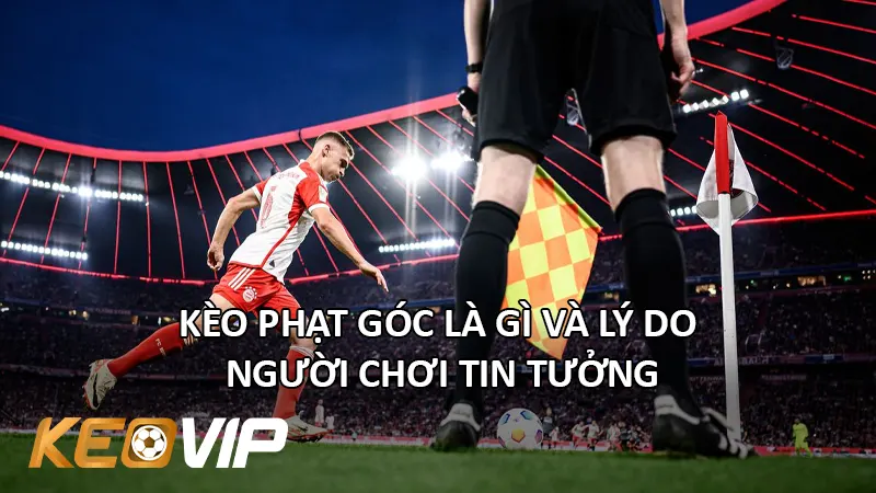 Kèo Phạt Góc Là Gì Và Lý Do Người Chơi Tin Tưởng