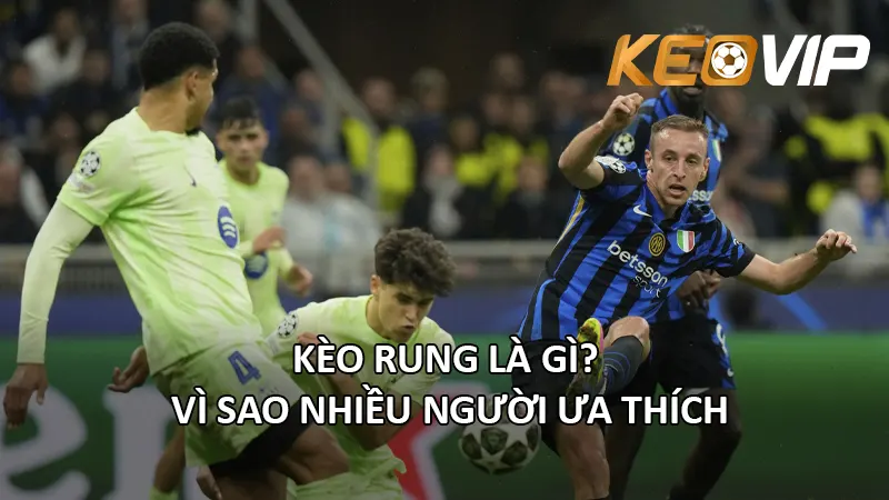 Kèo Rung Là Gì? Vì Sao Nhiều Người Ưa Thích