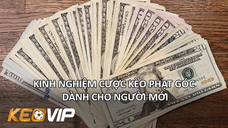 Kinh Nghiệm Cược Kèo Phạt Góc Dành Cho Người Mới