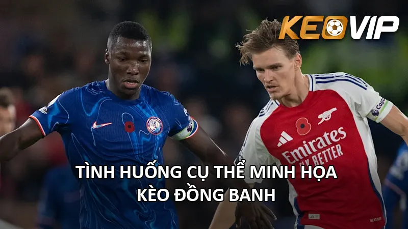 Tình Huống Cụ Thể Minh Họa